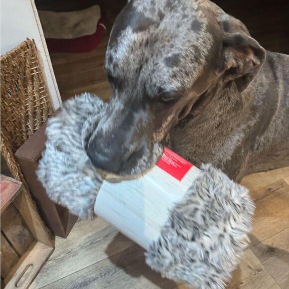 Like this listing to be notified of our lives - Picture 4 of 6